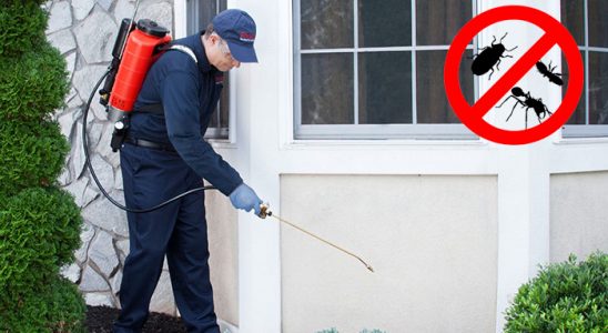Karakeçili Tahtakurusu İlaçlama böcek ilaçlama ve haşere kontrolü — ilaclama-tr.com